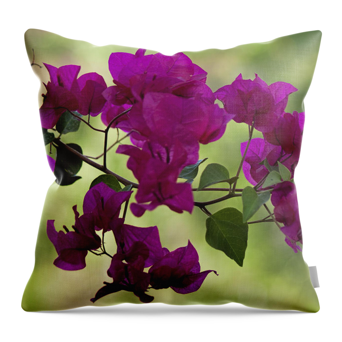 Fred Larson Throw Pillow featuring the photograph Bougainvillea by Fred Larson