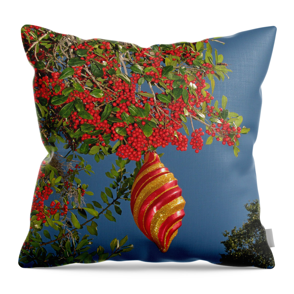 Nature Throw Pillow featuring the photograph Boughs of Holly by Peggy Urban