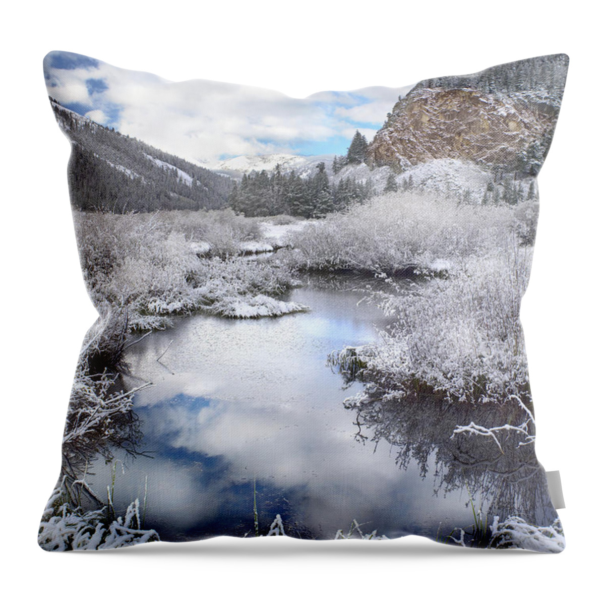 Feb0514 Throw Pillow featuring the photograph Boulder Mountains And Summit Creek Idaho by Tim Fitzharris