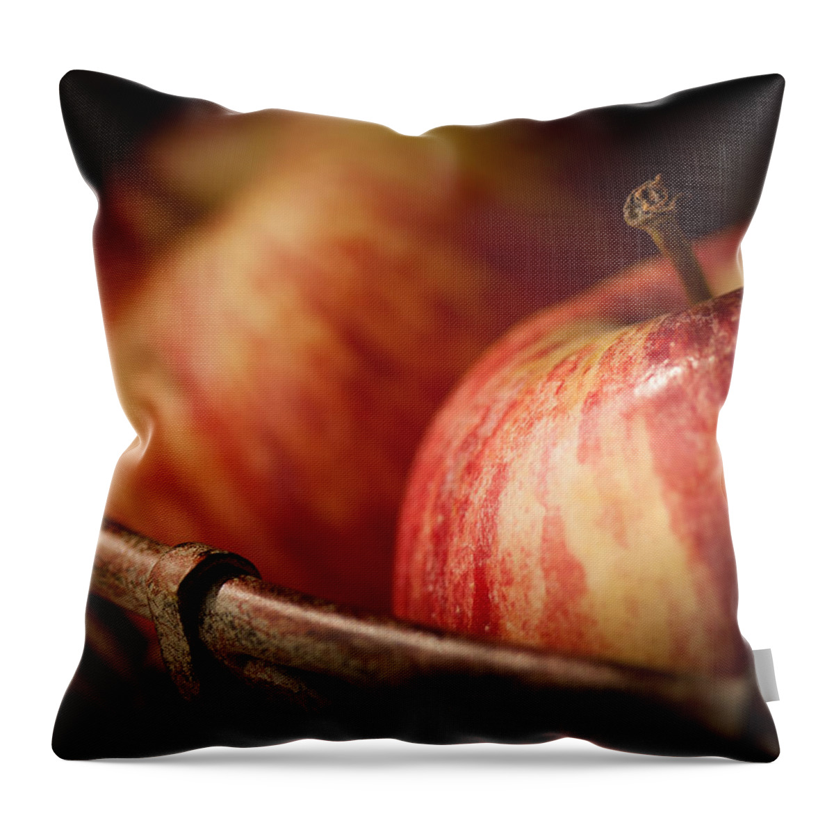 Apple Throw Pillow featuring the photograph Bountiful by Amy Weiss