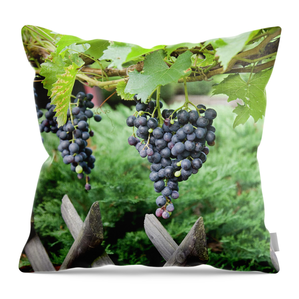 Hanging Throw Pillow featuring the photograph Bountiful Harvest by Diephosi