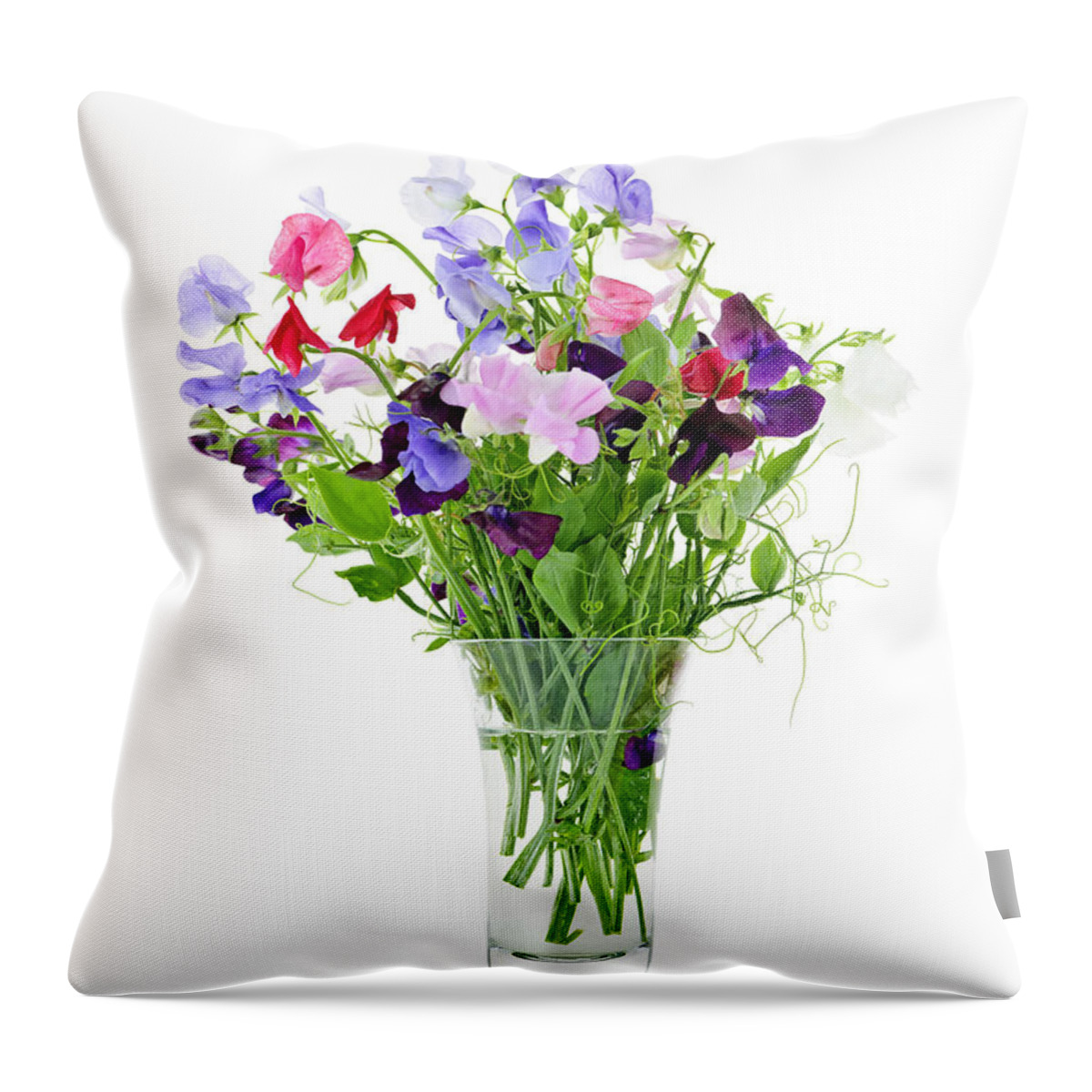 Sweet Pea Throw Pillow featuring the photograph Bouquet of sweet pea flowers by Elena Elisseeva