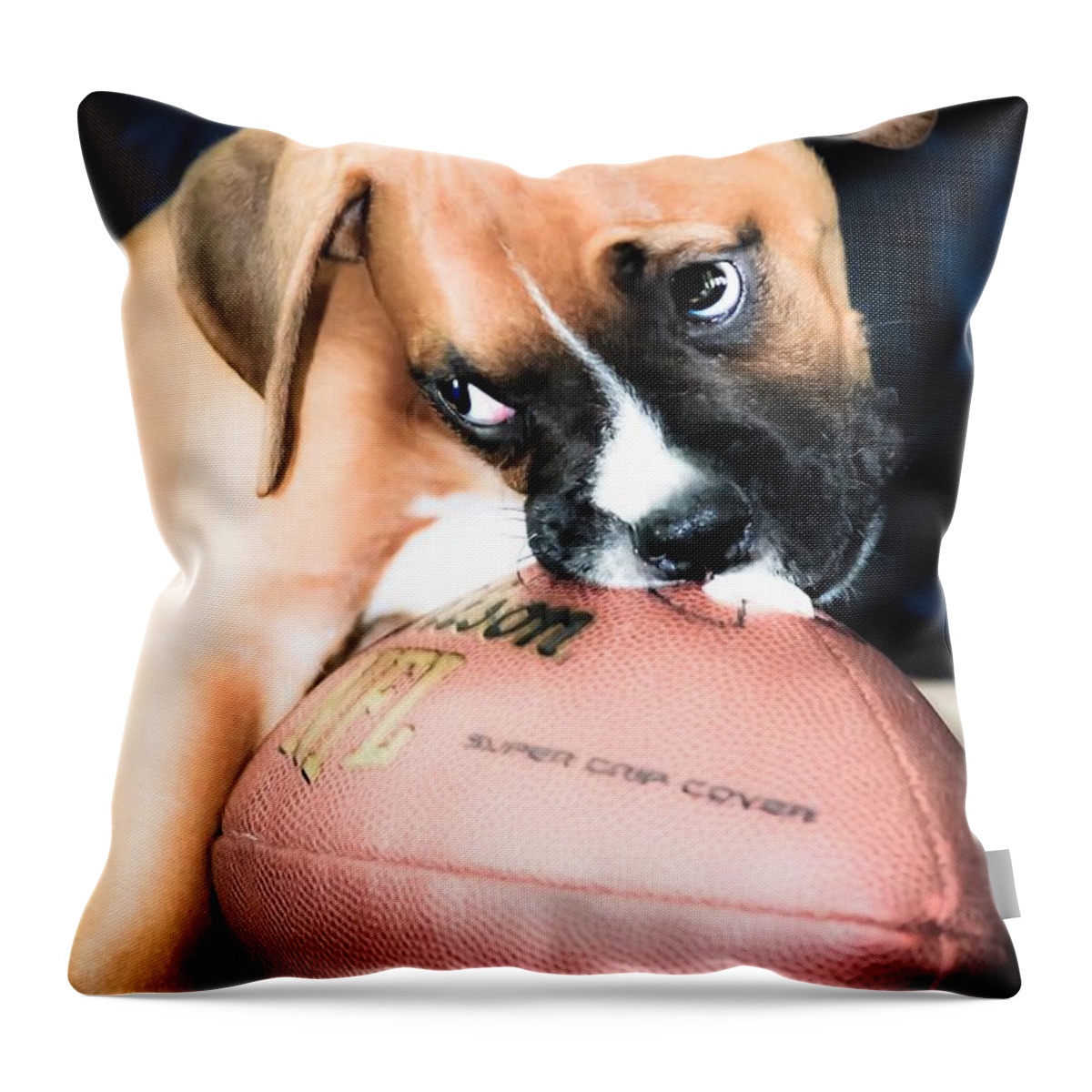 Boxer Puppy Throw Pillow featuring the photograph Boxer Puppy Cuteness by Peggy Franz
