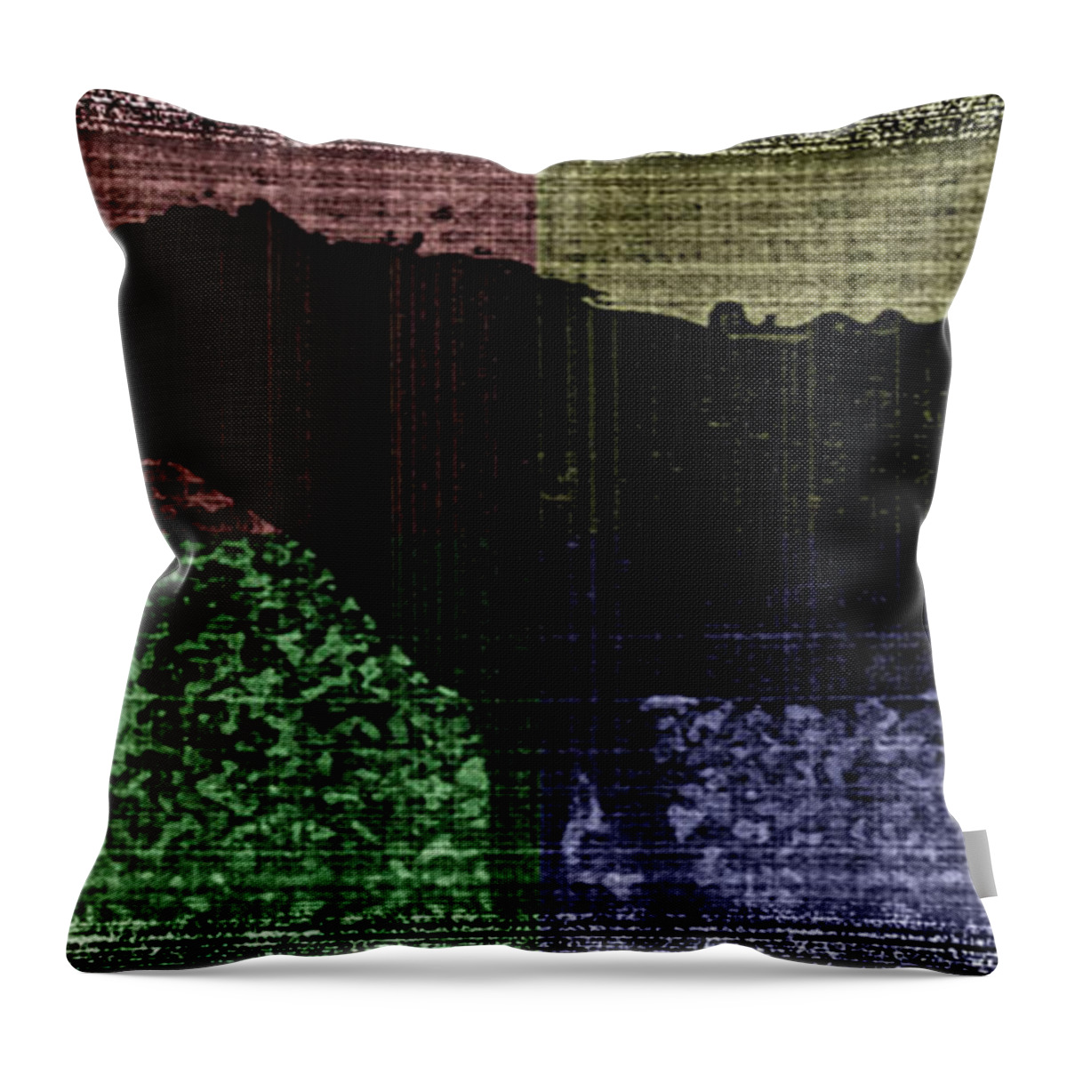 Boy Throw Pillow featuring the digital art Boy With Horse II by Cathy Anderson