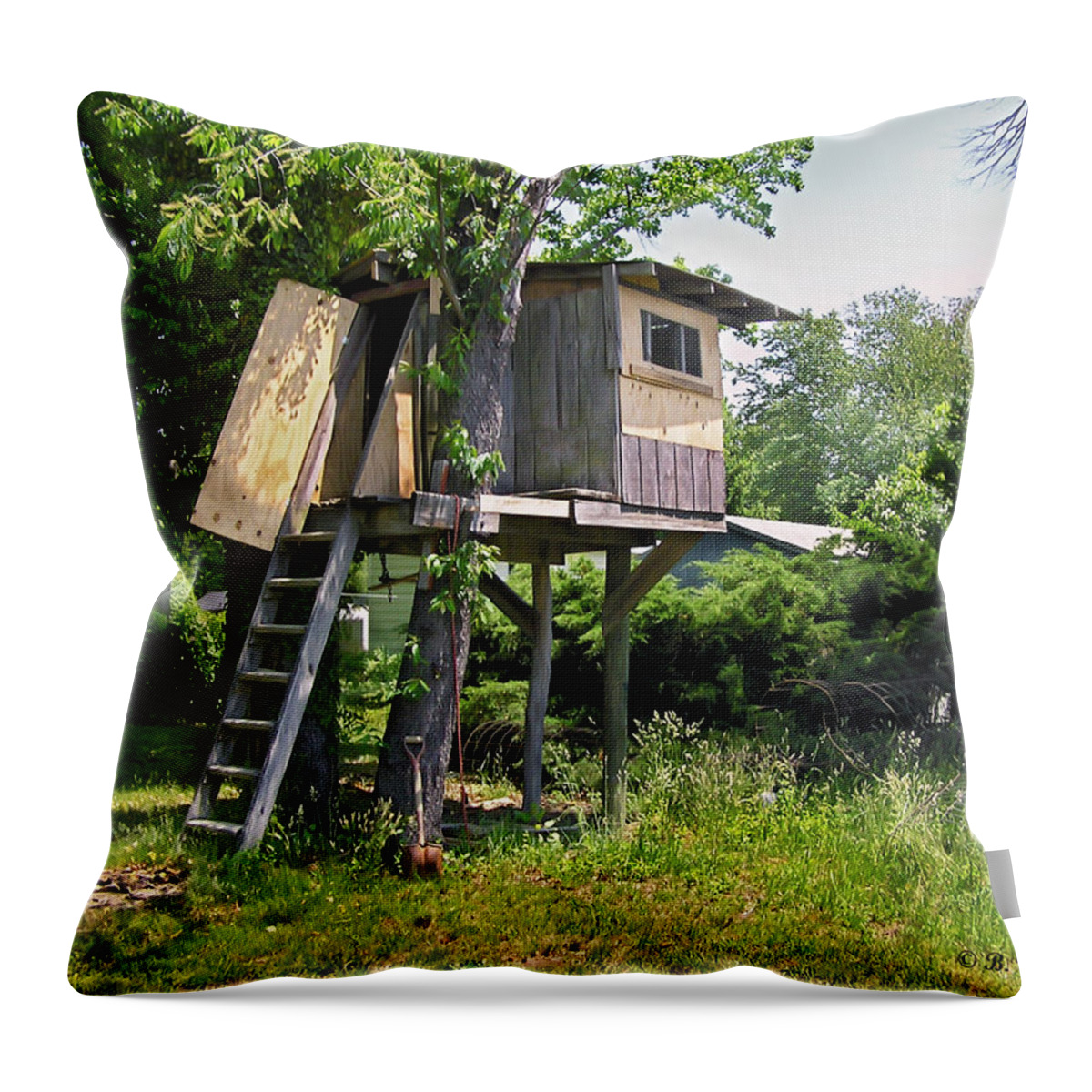 2d Throw Pillow featuring the photograph Boys Dream by Brian Wallace