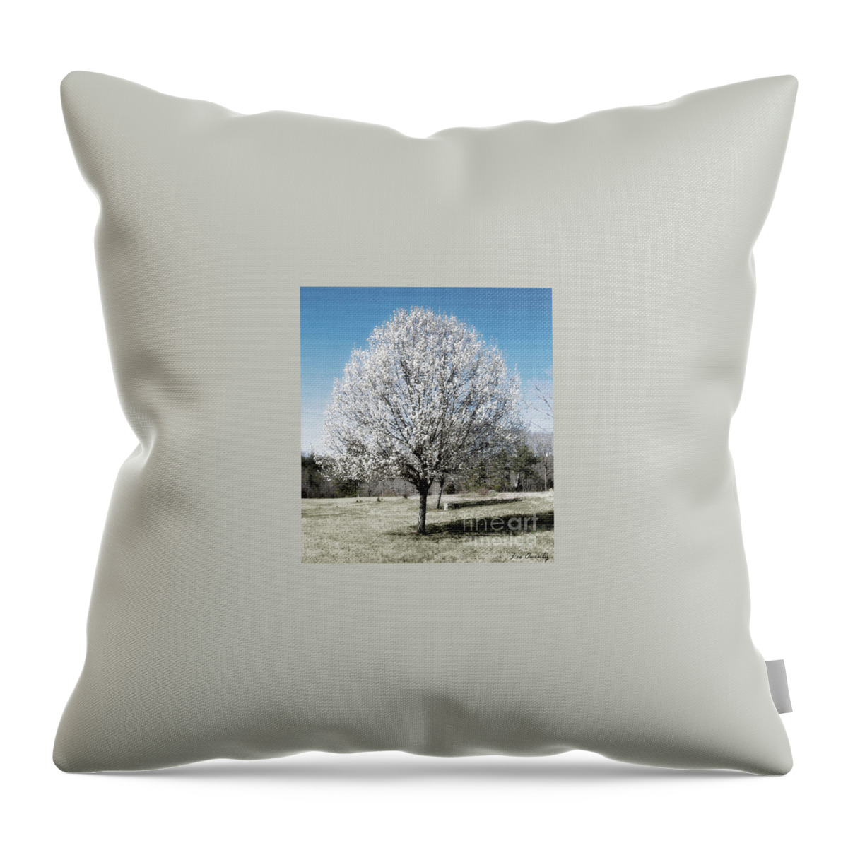 Bradford Pear Throw Pillow featuring the photograph Bradford Pear by Lee Owenby