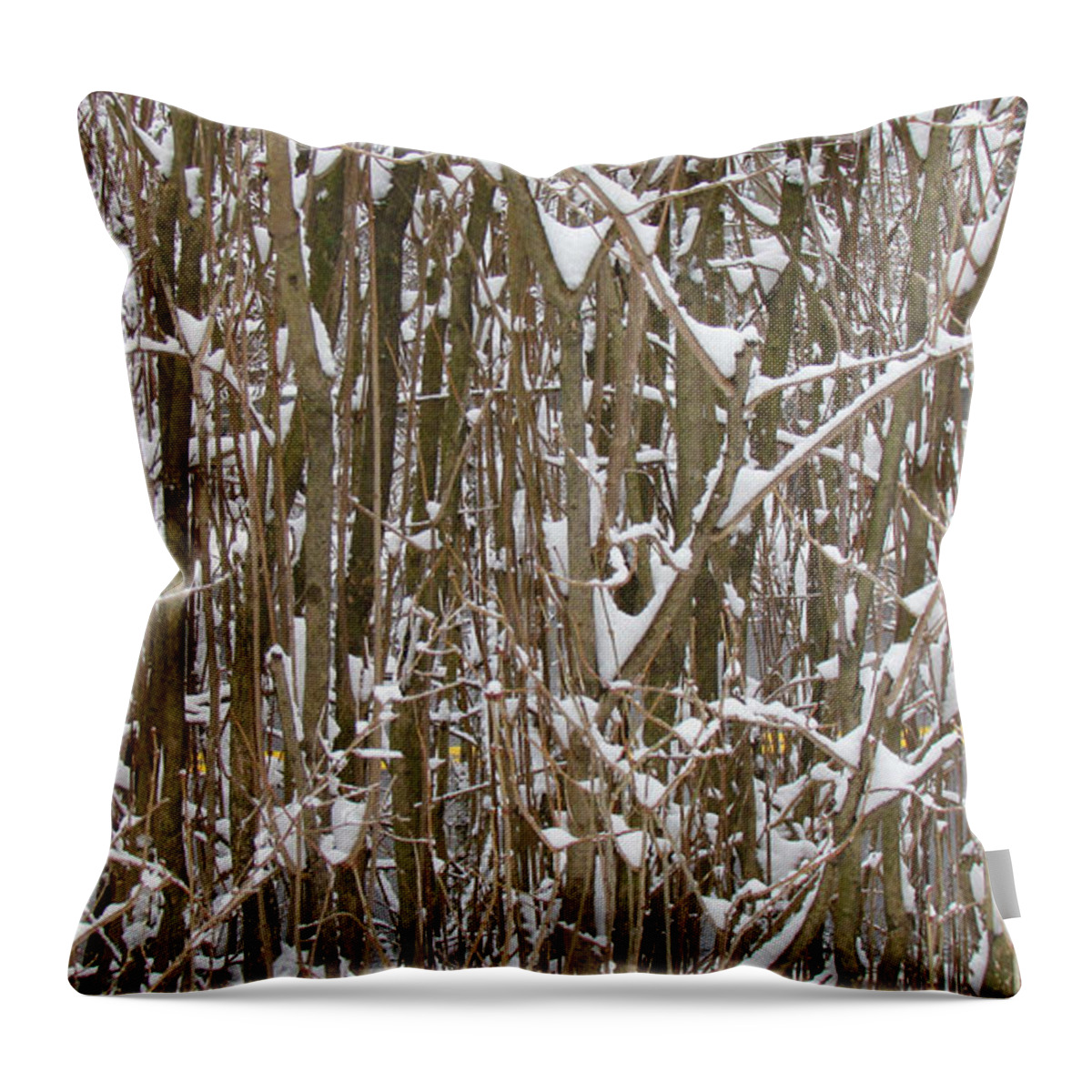 Background Throw Pillow featuring the photograph Branches and Twigs Covered in Fresh Snow by Jeelan Clark