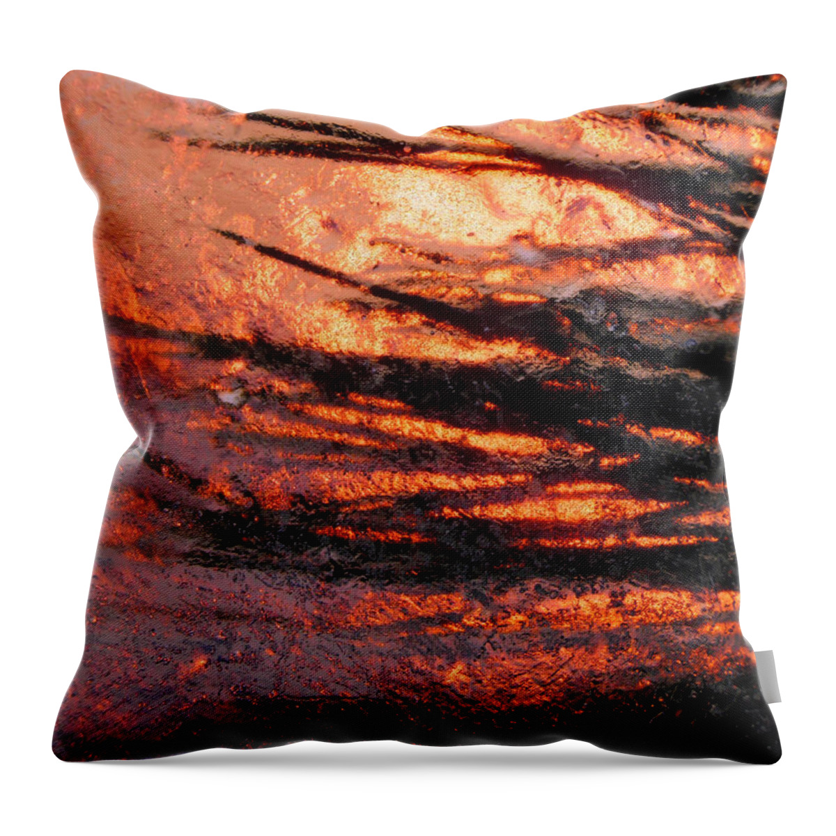Ice Throw Pillow featuring the photograph Branches of Light by Sami Tiainen