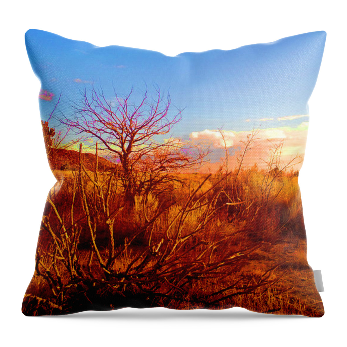 Southwest Throw Pillow featuring the photograph Branching Out by Claudia Goodell