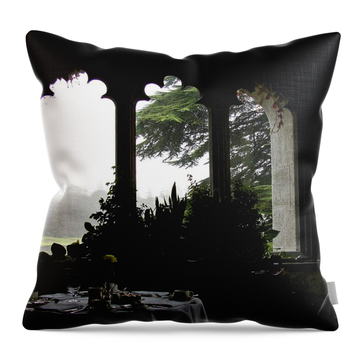 Adare Castle Throw Pillow featuring the photograph Breakfast at Daybreak by Norma Brock