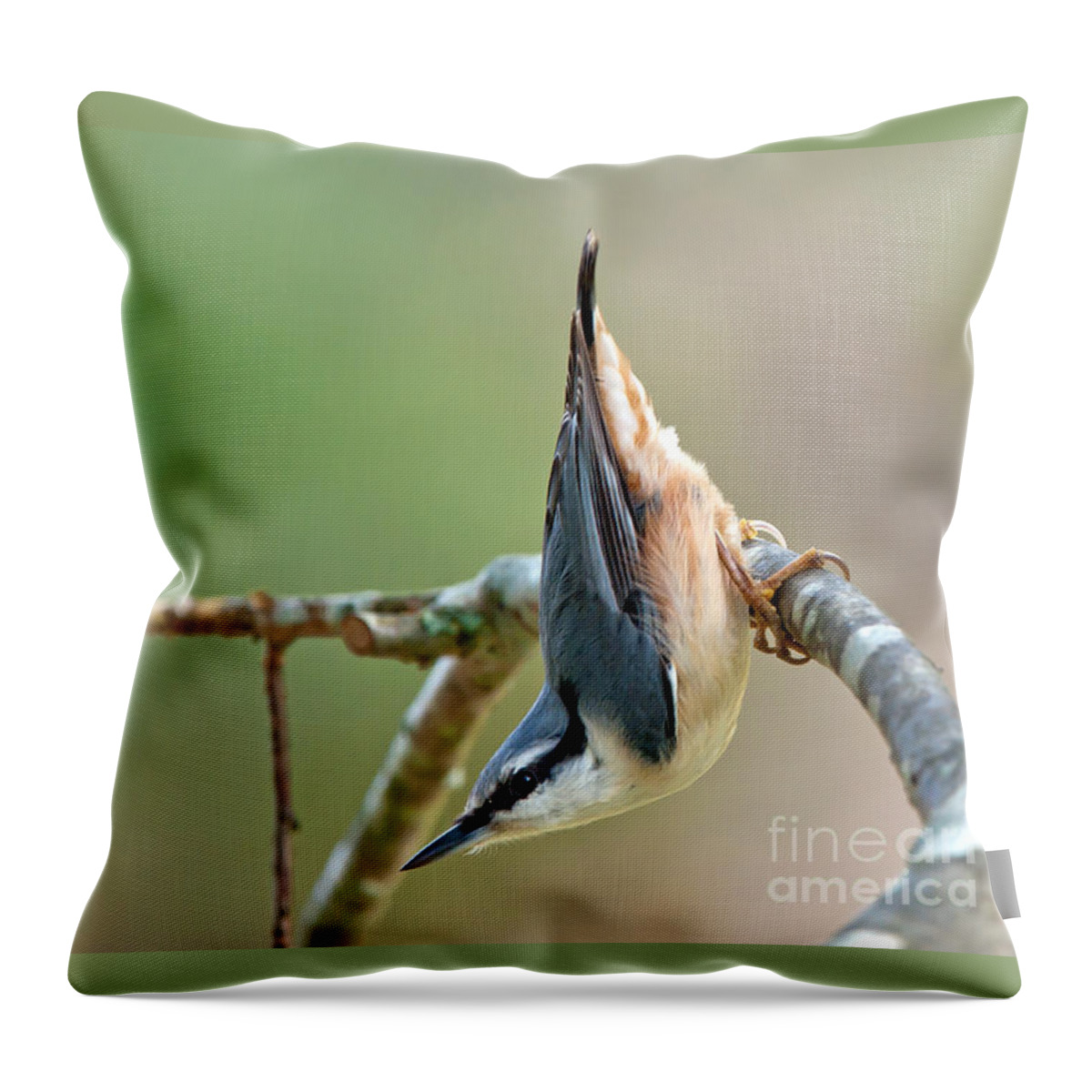 Breakneck - The Nuthatch Throw Pillow featuring the photograph Breakneck - the Nuthatch by Torbjorn Swenelius