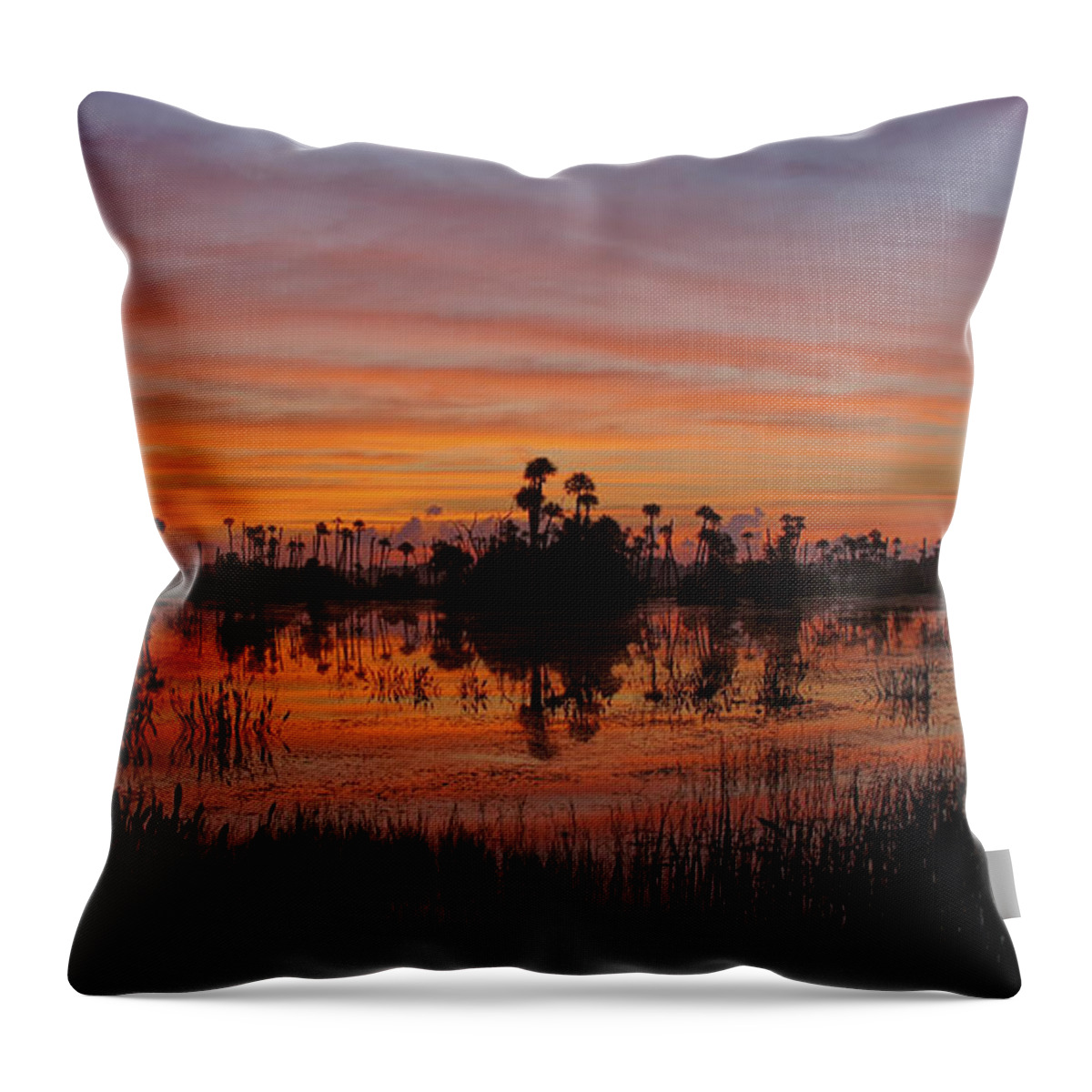 Orlando Throw Pillow featuring the photograph Breathtaking Florida by Brian Kamprath