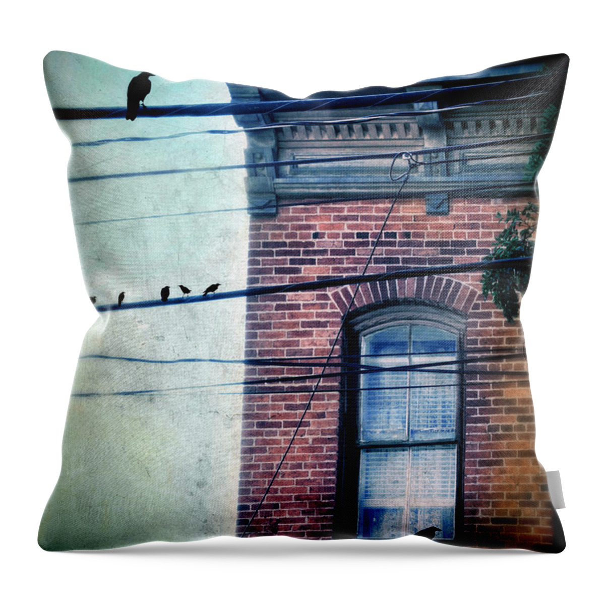 House Throw Pillow featuring the photograph Brick Building Birds on Wires by Jill Battaglia