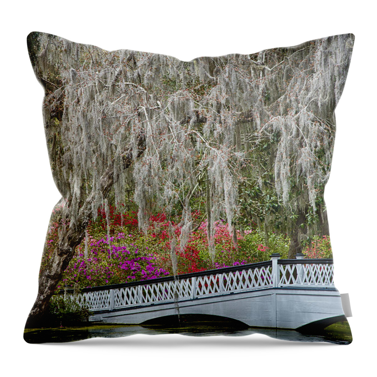 Magnolia Plantation Throw Pillow featuring the photograph Bridge of Magnolia Plantation by Carrie Cranwill
