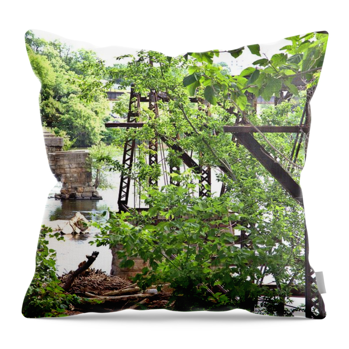 8696 Throw Pillow featuring the photograph Bridge Remnants by Gordon Elwell
