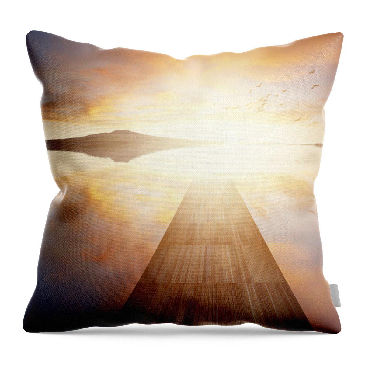 Nobody Throw Pillow featuring the photograph Path to freedom by Les Cunliffe