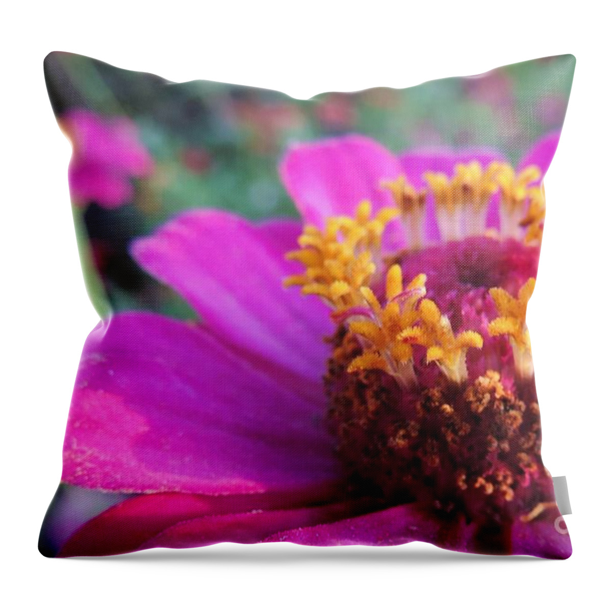 Bloom Throw Pillow featuring the photograph Bridgets Bloom by Robert ONeil