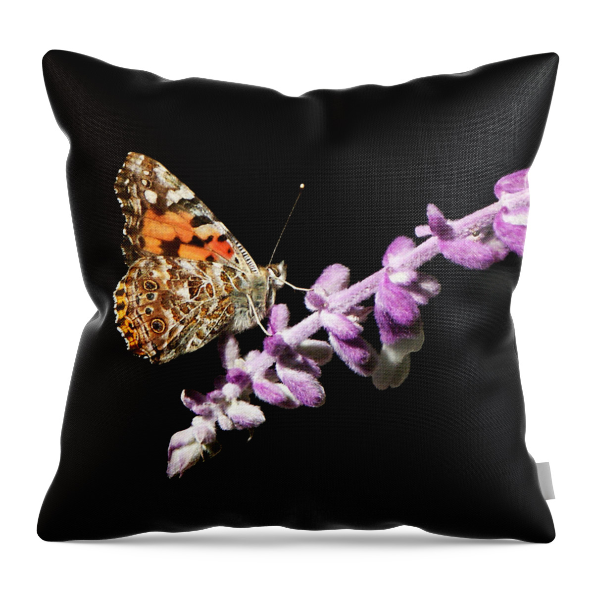 Painted Lady Throw Pillow featuring the photograph Painted Lady Butterfly on Purple Flower by Marilyn Hunt