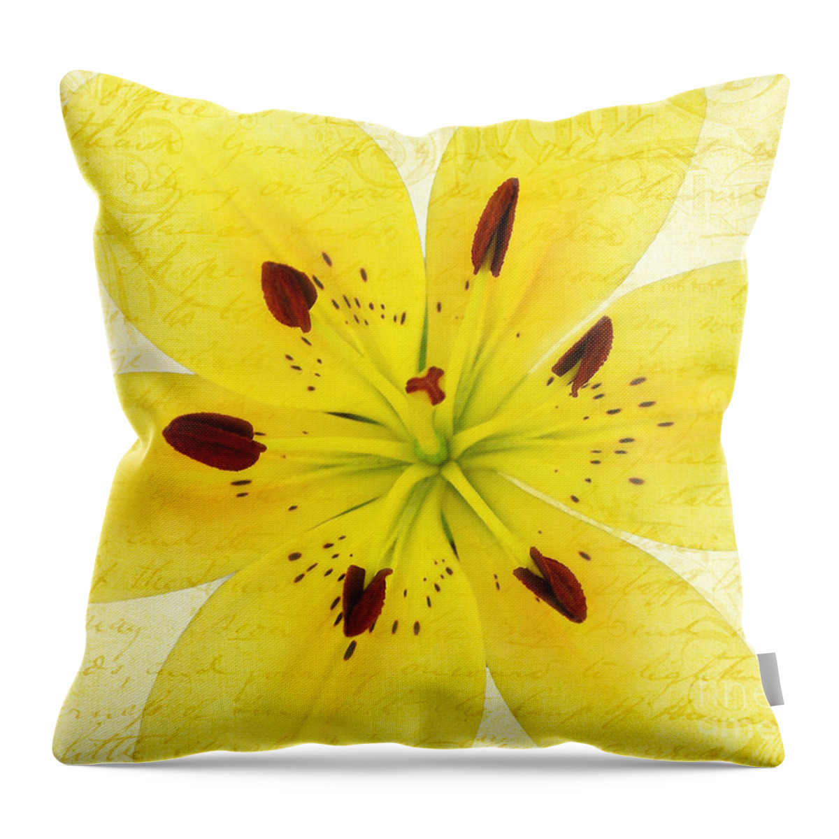Lily Throw Pillow featuring the photograph Bright Spot In My Day by Kathi Mirto