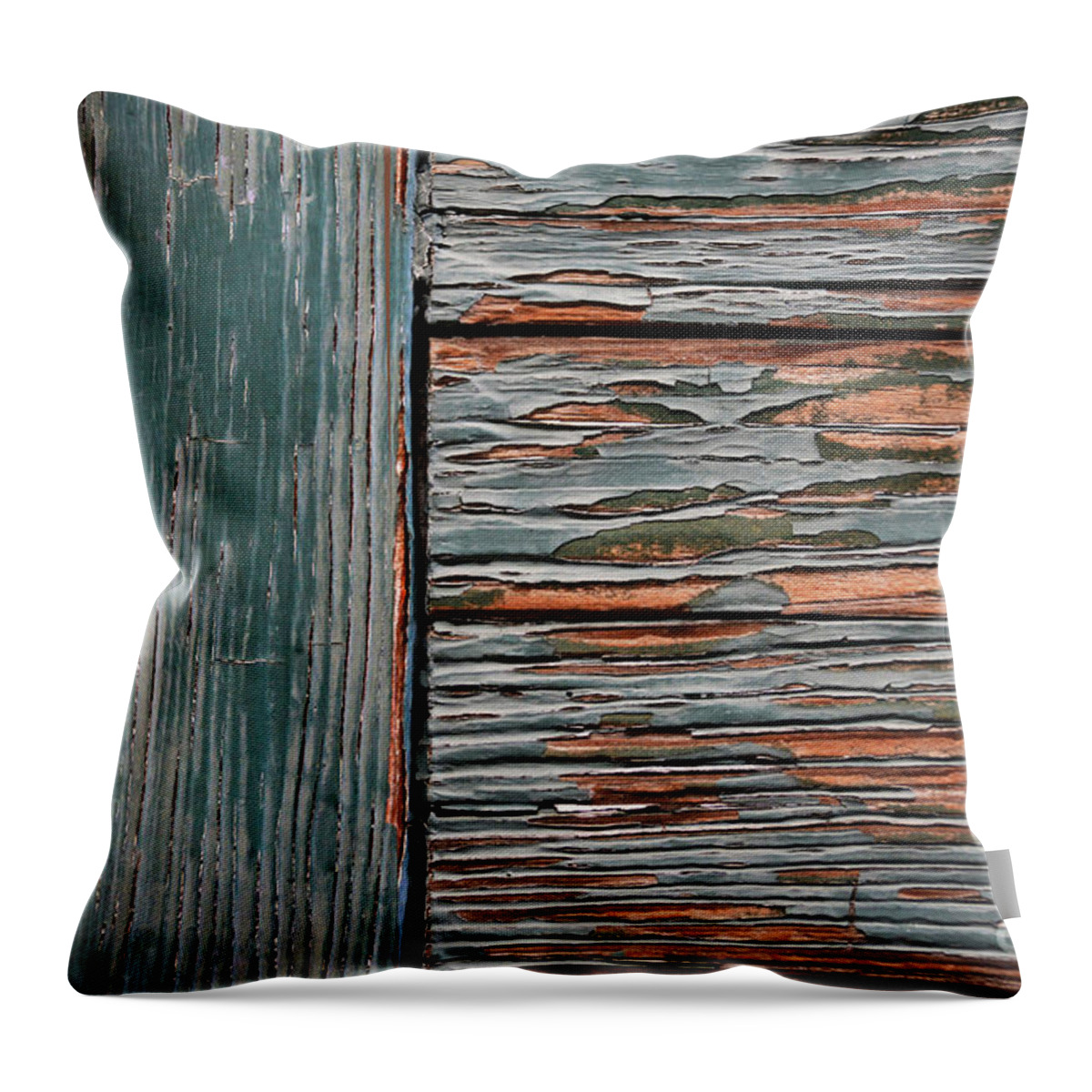Decay Throw Pillow featuring the photograph Brighter Days by Dan Holm