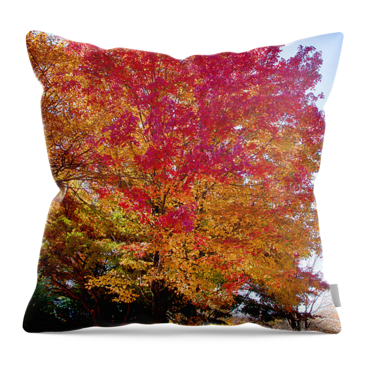 Marblehead Throw Pillow featuring the photograph brilliant autumn colors on a Marblehead street by Jeff Folger
