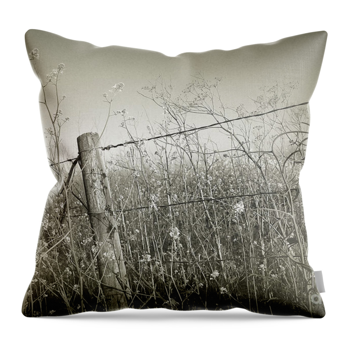 Wildflowers Throw Pillow featuring the photograph Brimming by Parrish Todd