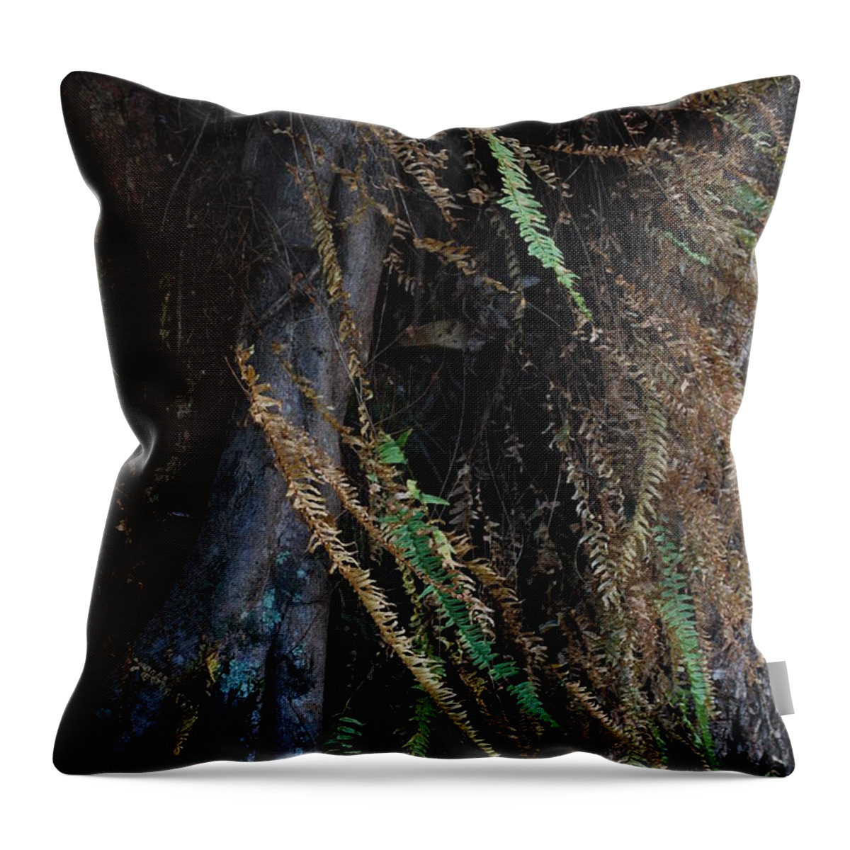 Tree Green Field Throw Pillow featuring the photograph Brisa by Rebeca Segura