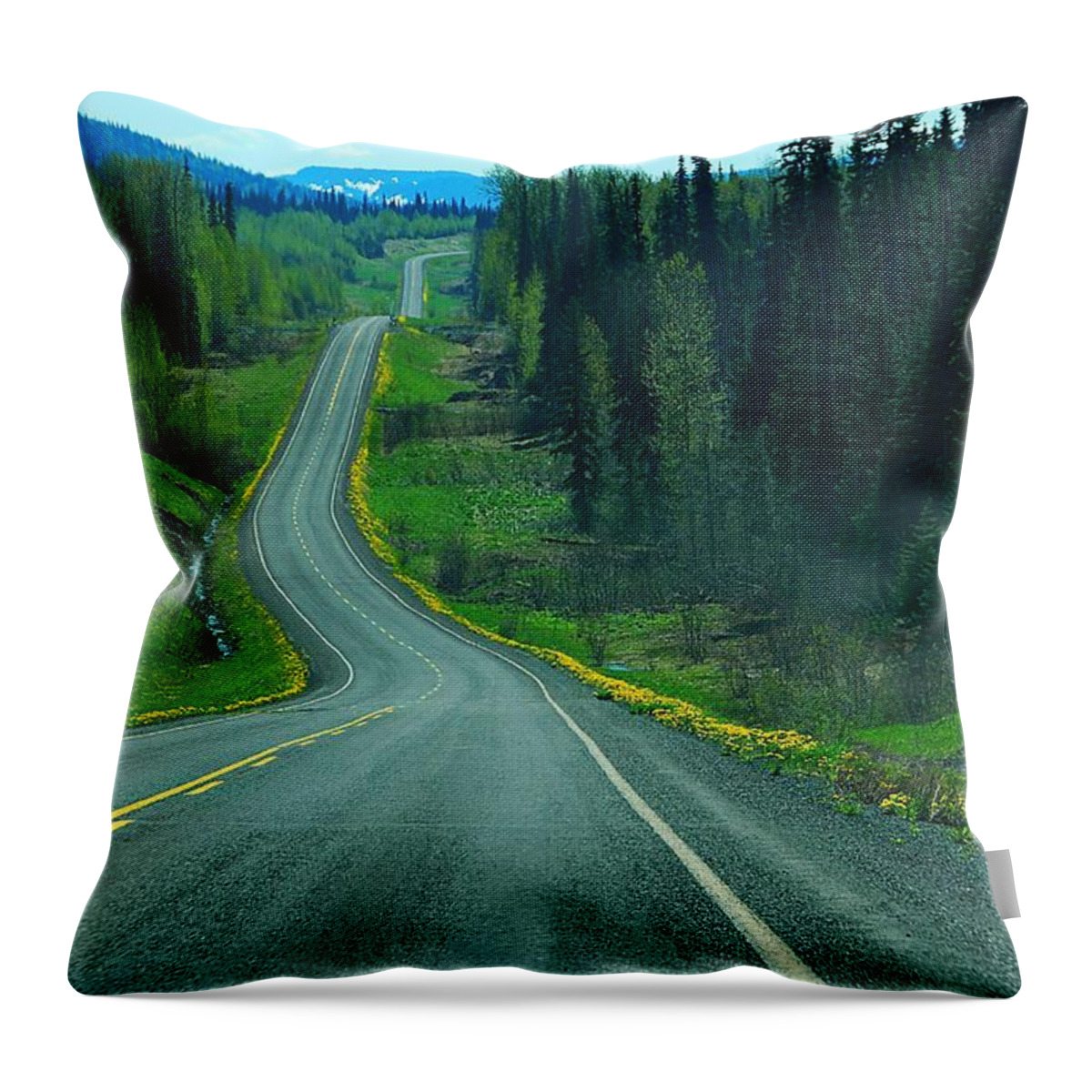 Canada Throw Pillow featuring the photograph British Columbia's Cassiar Highway  by Dyle  Warren