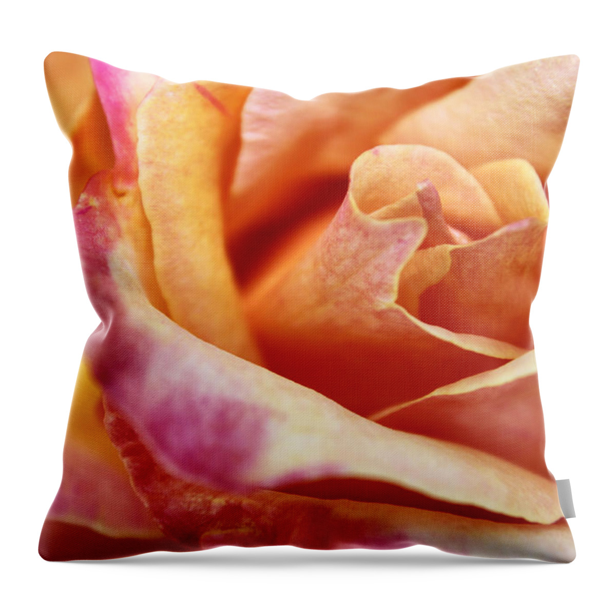 Macro Throw Pillow featuring the photograph Broadway Hybrid Tea Rose by Jason Politte