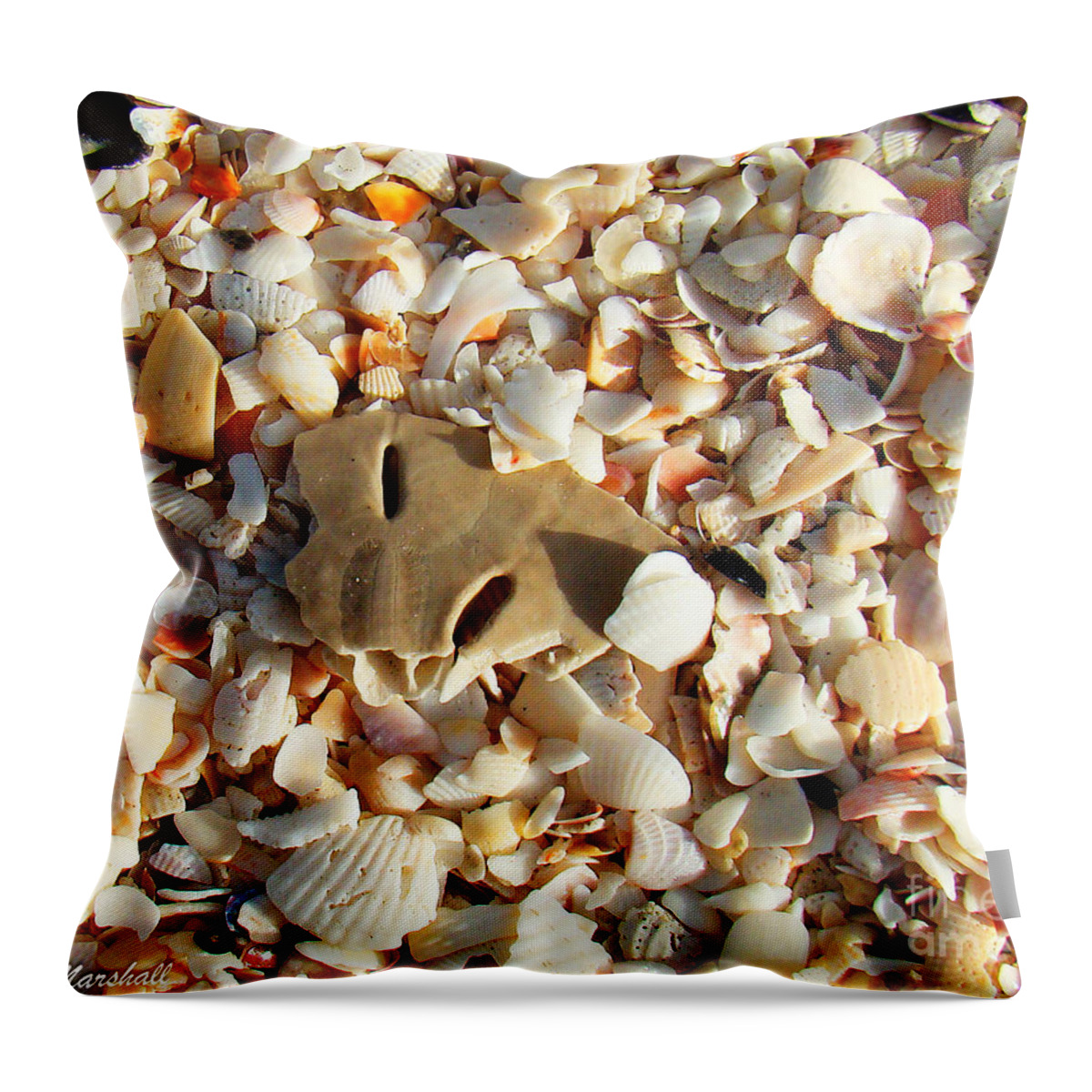 Shells Throw Pillow featuring the photograph Broken Beach Treasures by Nancy L Marshall
