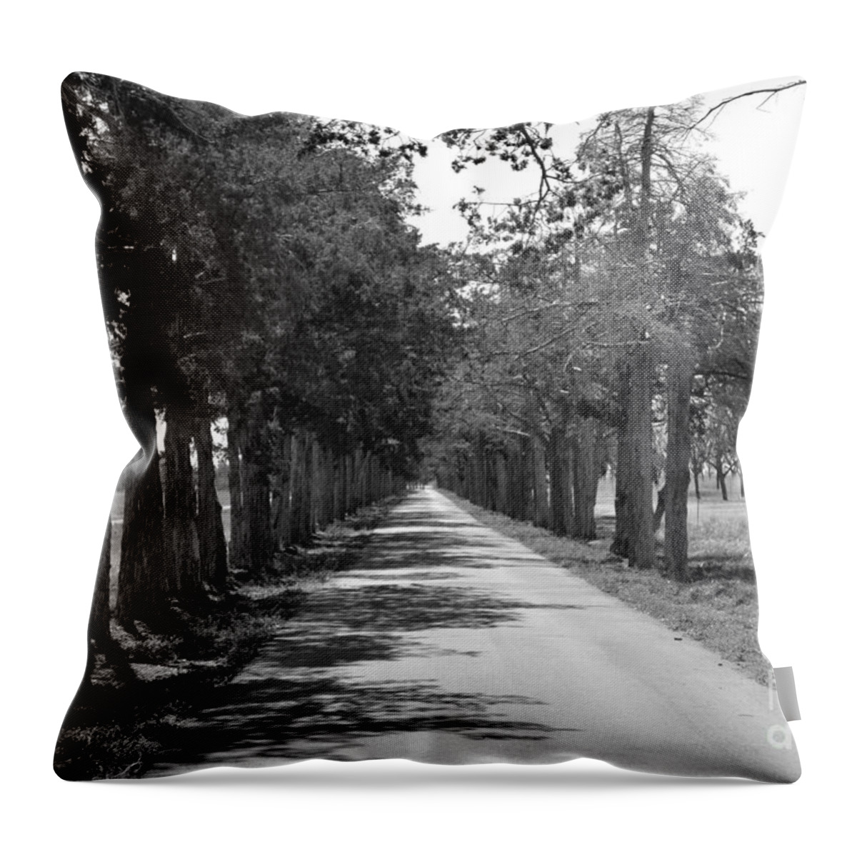 Cemetery Throw Pillow featuring the photograph Broken Road by Derry Murphy