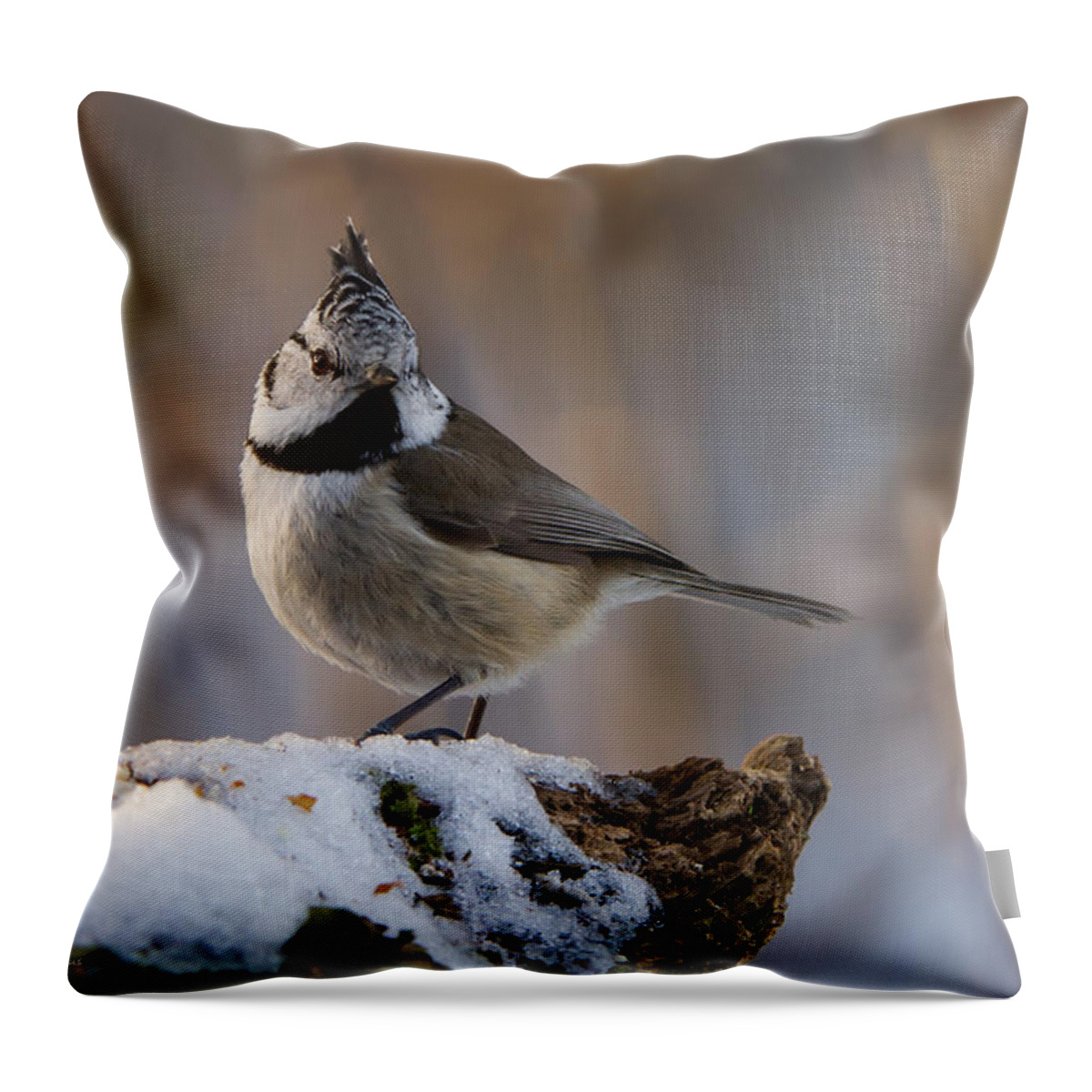 Brown Eyed Girl Throw Pillow featuring the photograph Brown Eyed Girl by Torbjorn Swenelius