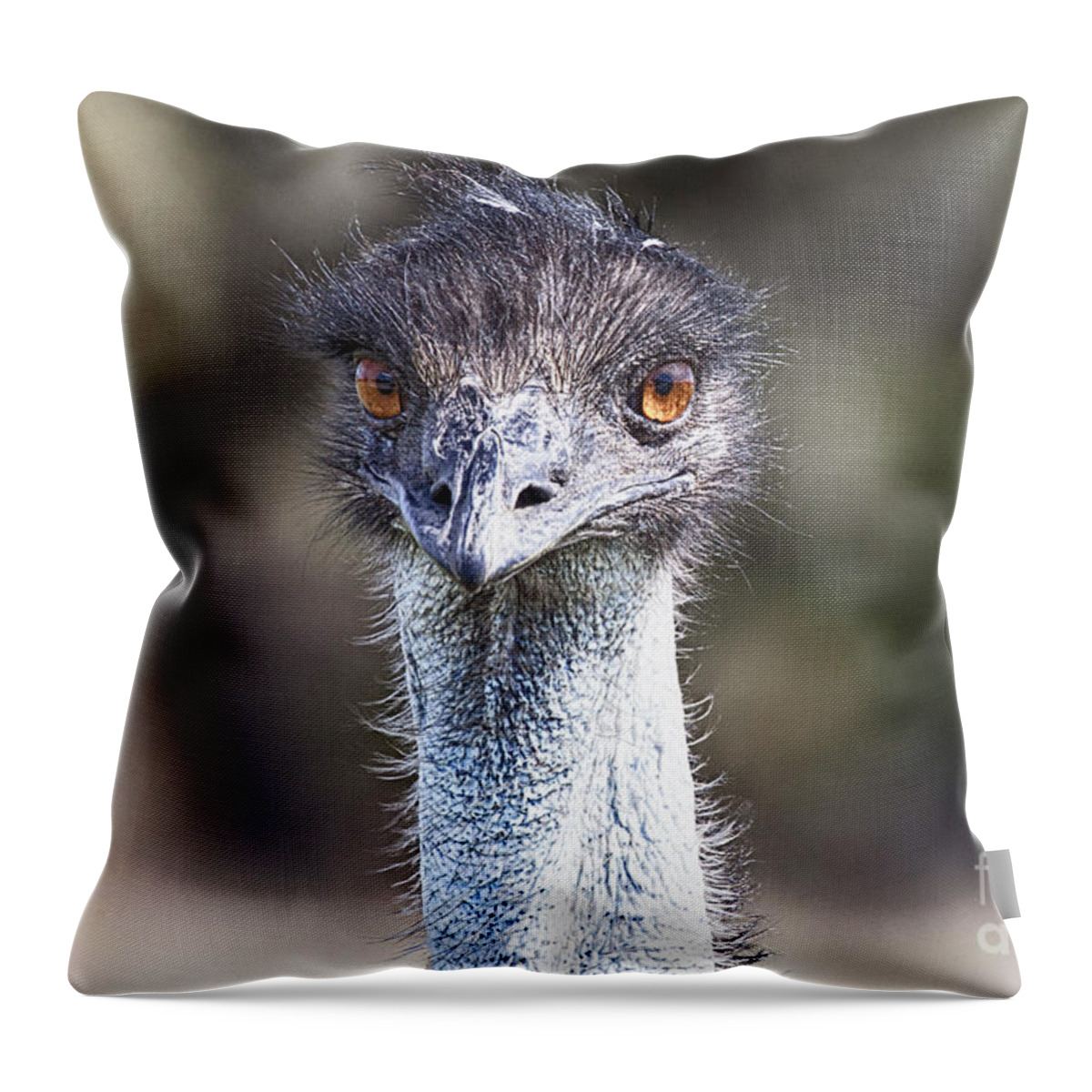  Emu Bird Throw Pillow featuring the photograph Brown-Eyed Girl V2 by Douglas Barnard