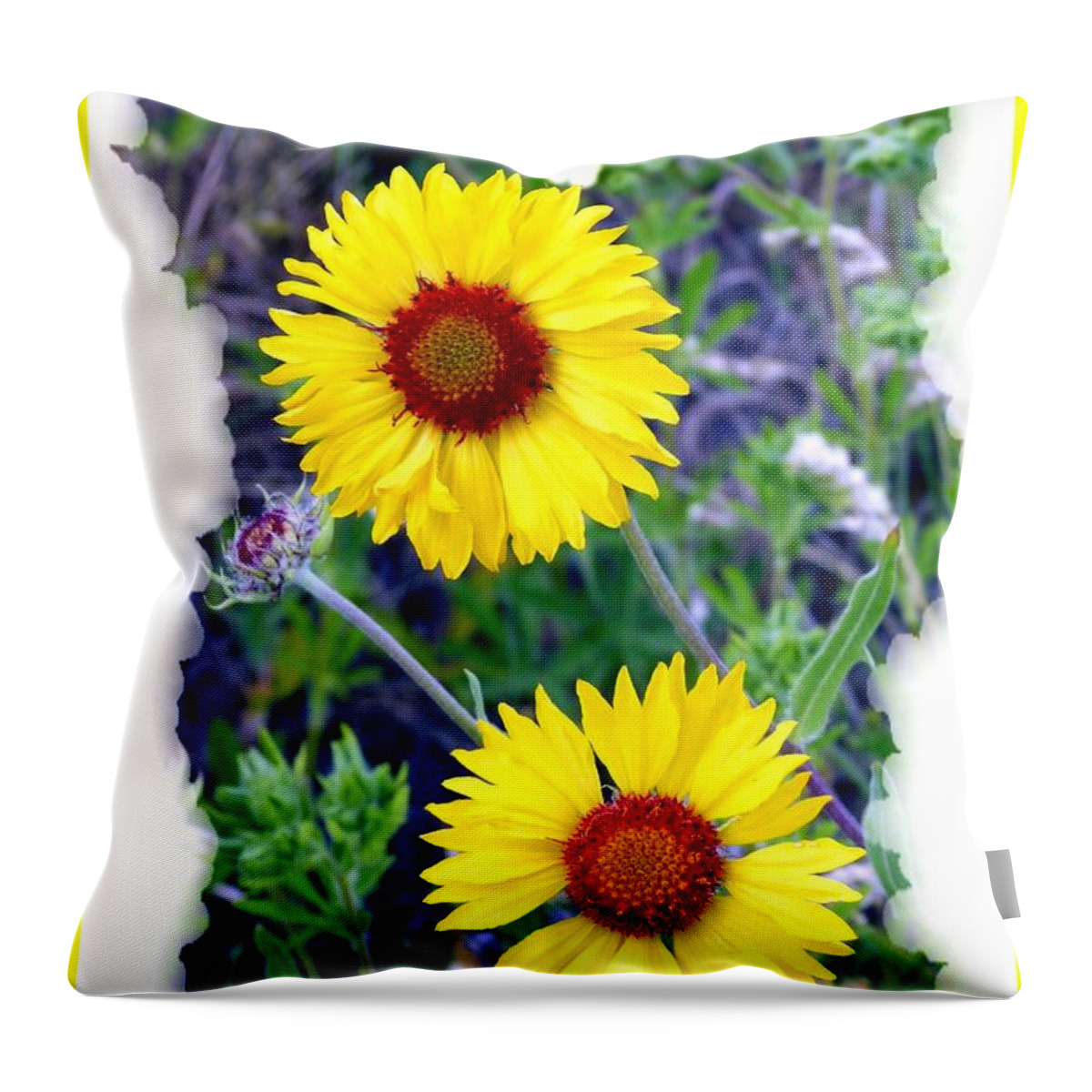 Brown-eyed Susans Throw Pillow featuring the photograph Brown- Eyed Susans by Will Borden