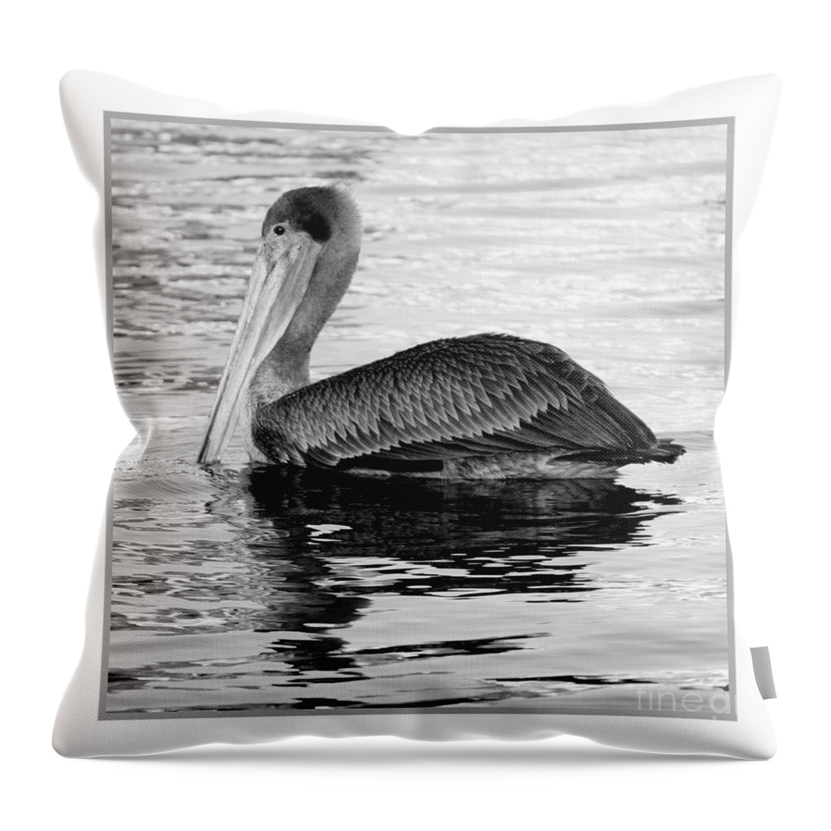 Pelican Throw Pillow featuring the photograph Brown Pelican - Black and White by Carol Groenen