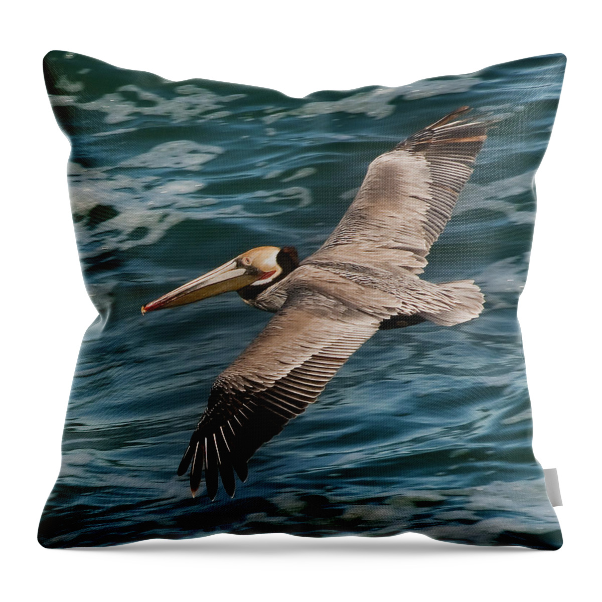 Photography Throw Pillow featuring the photograph Brown Pelican Flying 1 by Lee Kirchhevel