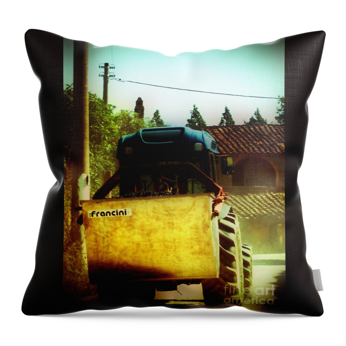 Brunello Throw Pillow featuring the photograph Brunello Taxi by Angela DeFrias