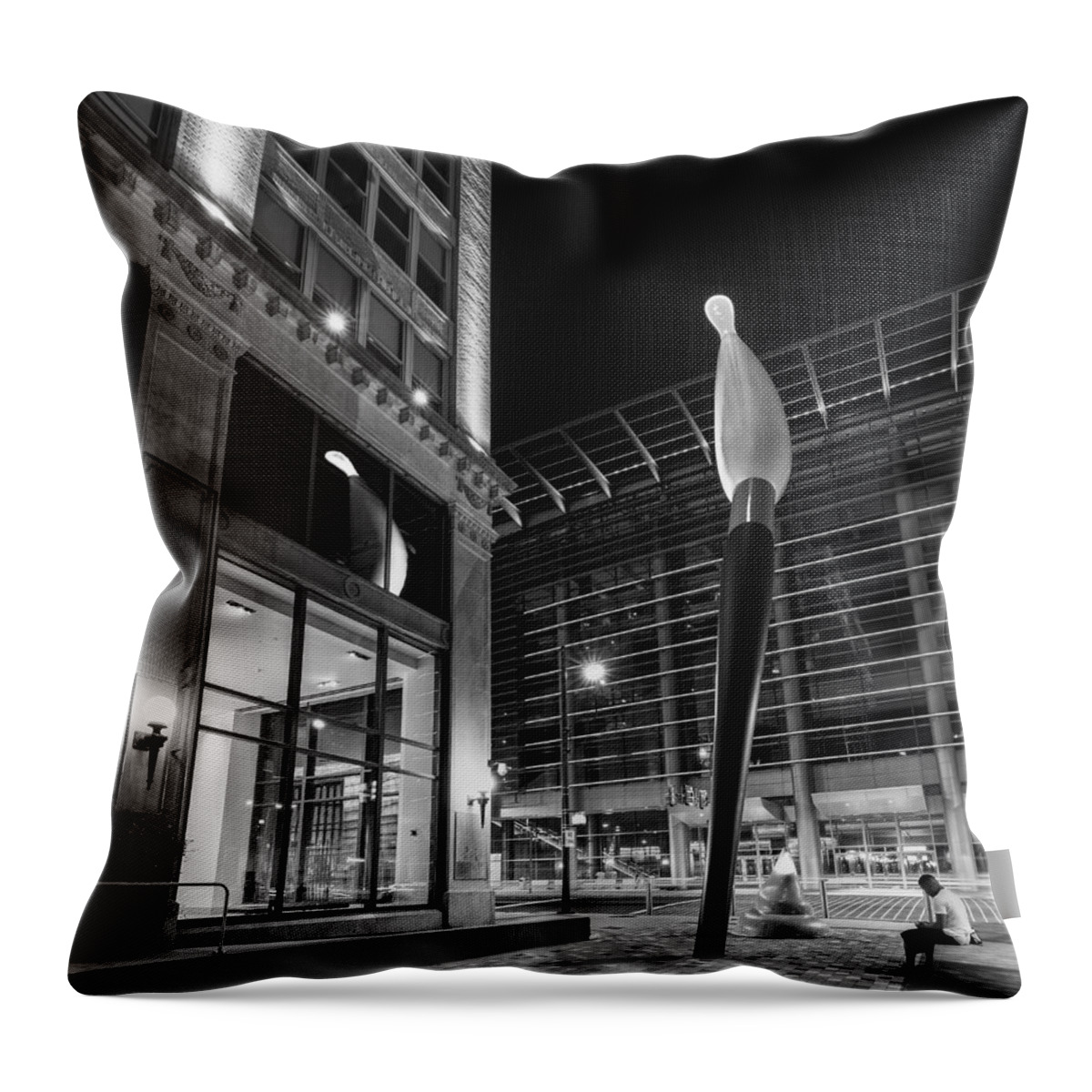 Philadelphia Throw Pillow featuring the photograph Brush it off by Rob Dietrich
