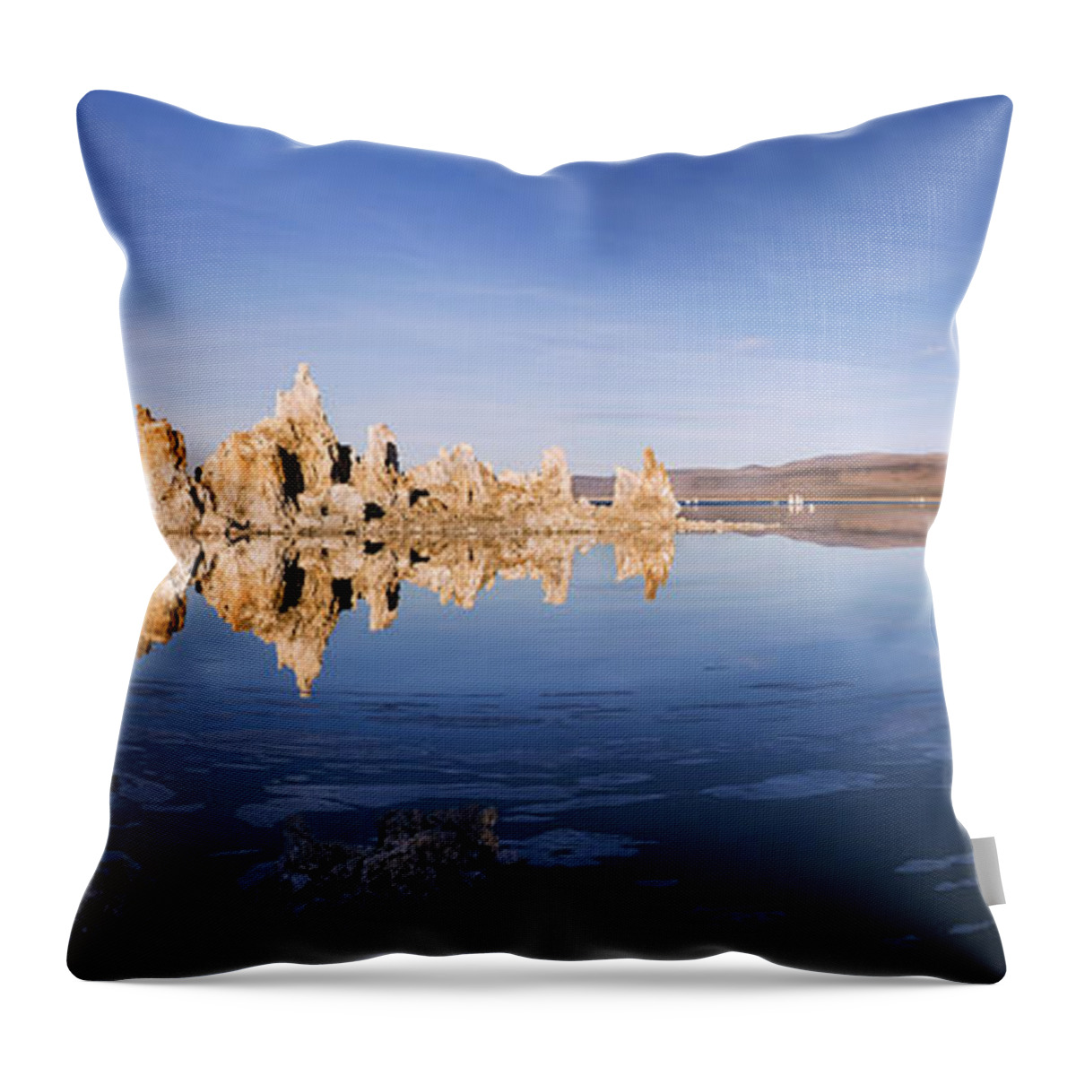 Abstract Throw Pillow featuring the photograph Brutally Calm by Denise Dube