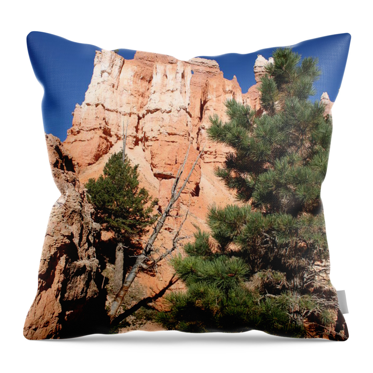 Canyon Throw Pillow featuring the photograph Bryce Canyon Fins #1 by Christiane Schulze Art And Photography