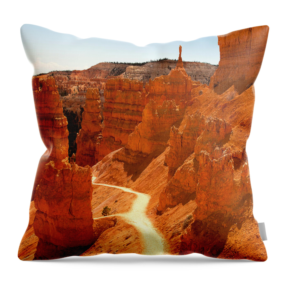 America Throw Pillow featuring the photograph Bryce Canyon trail by Jane Rix