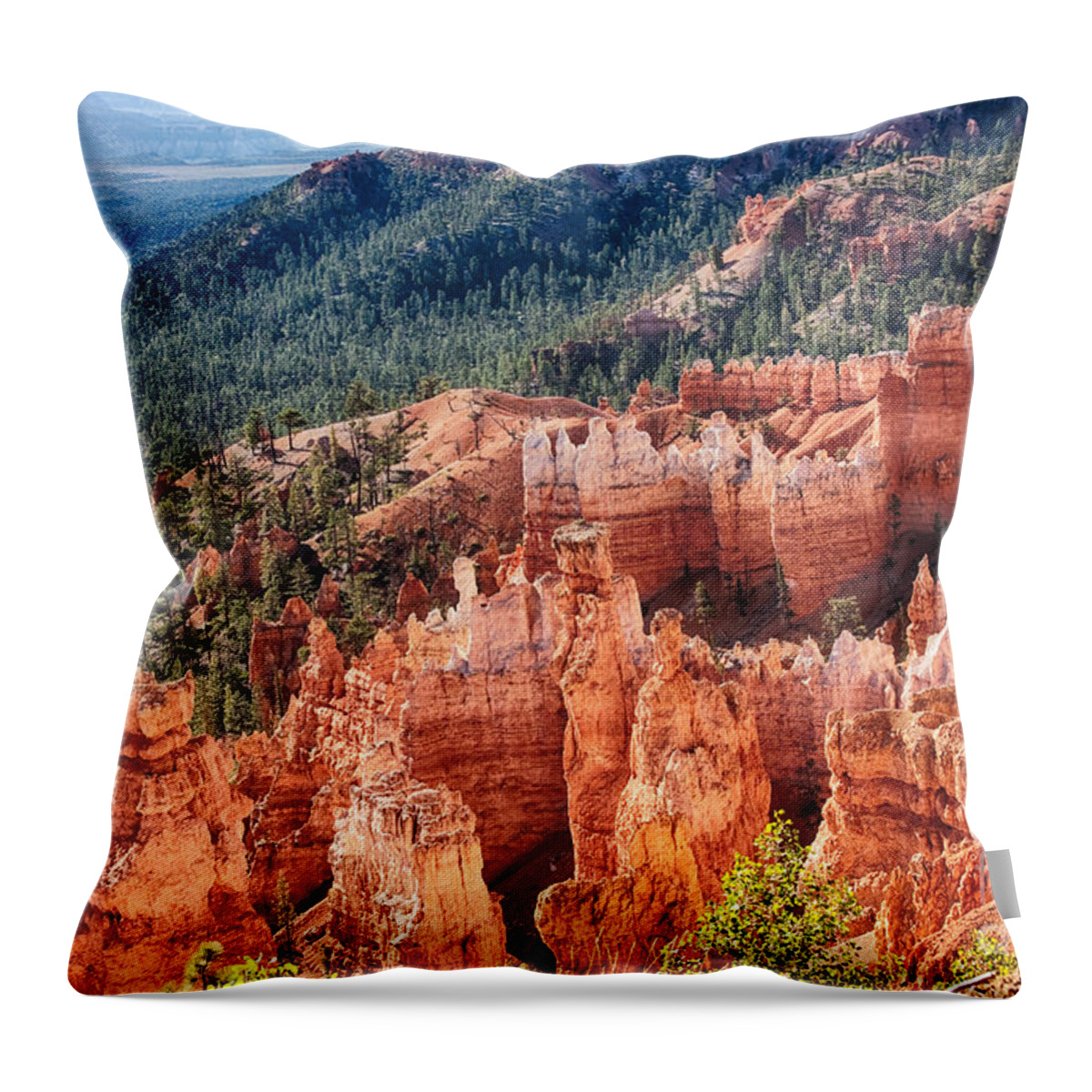 Bryce Canyon Throw Pillow featuring the photograph Bryce Canyon Utah Views 24 by James BO Insogna