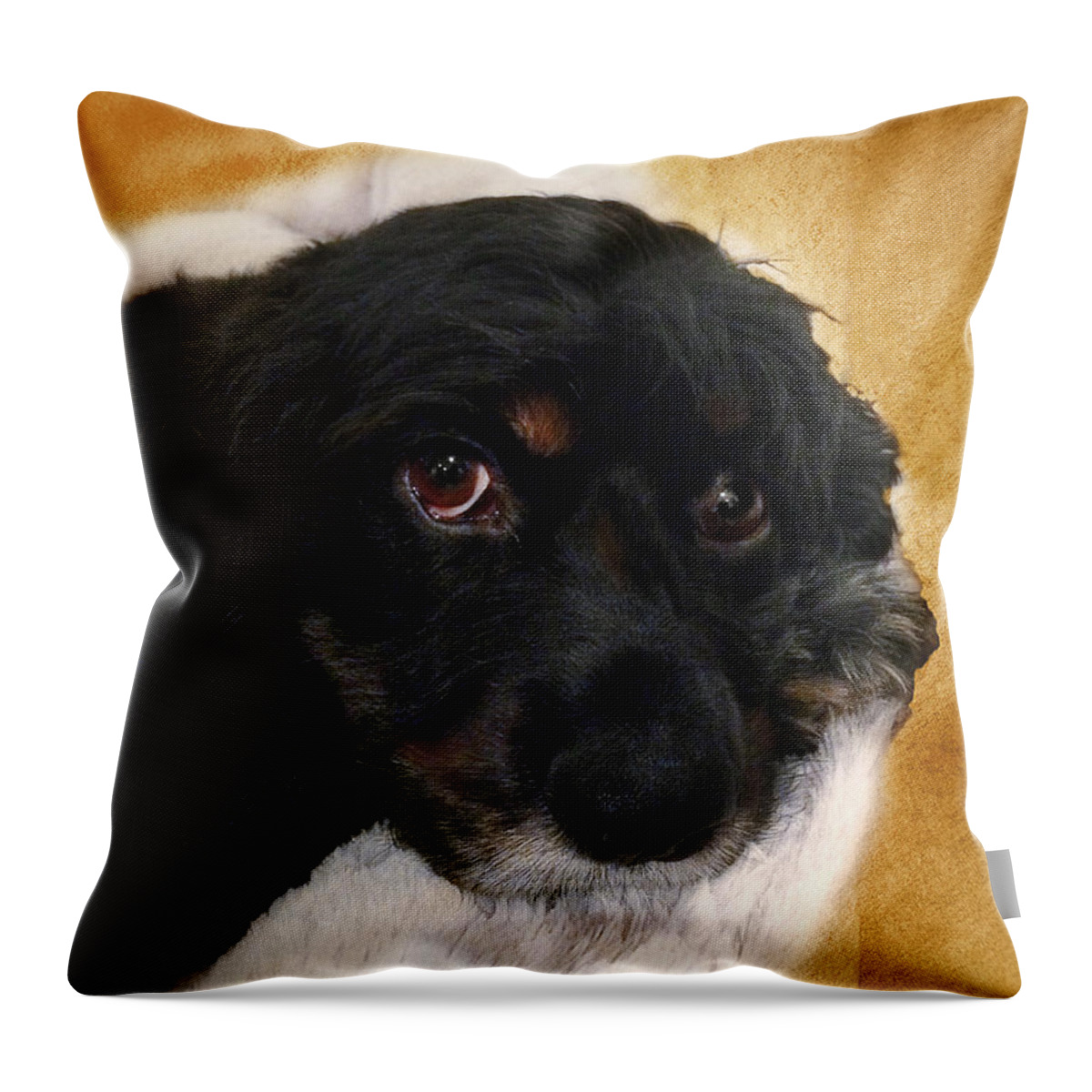 Dog Throw Pillow featuring the photograph Bubba by Camille Lopez