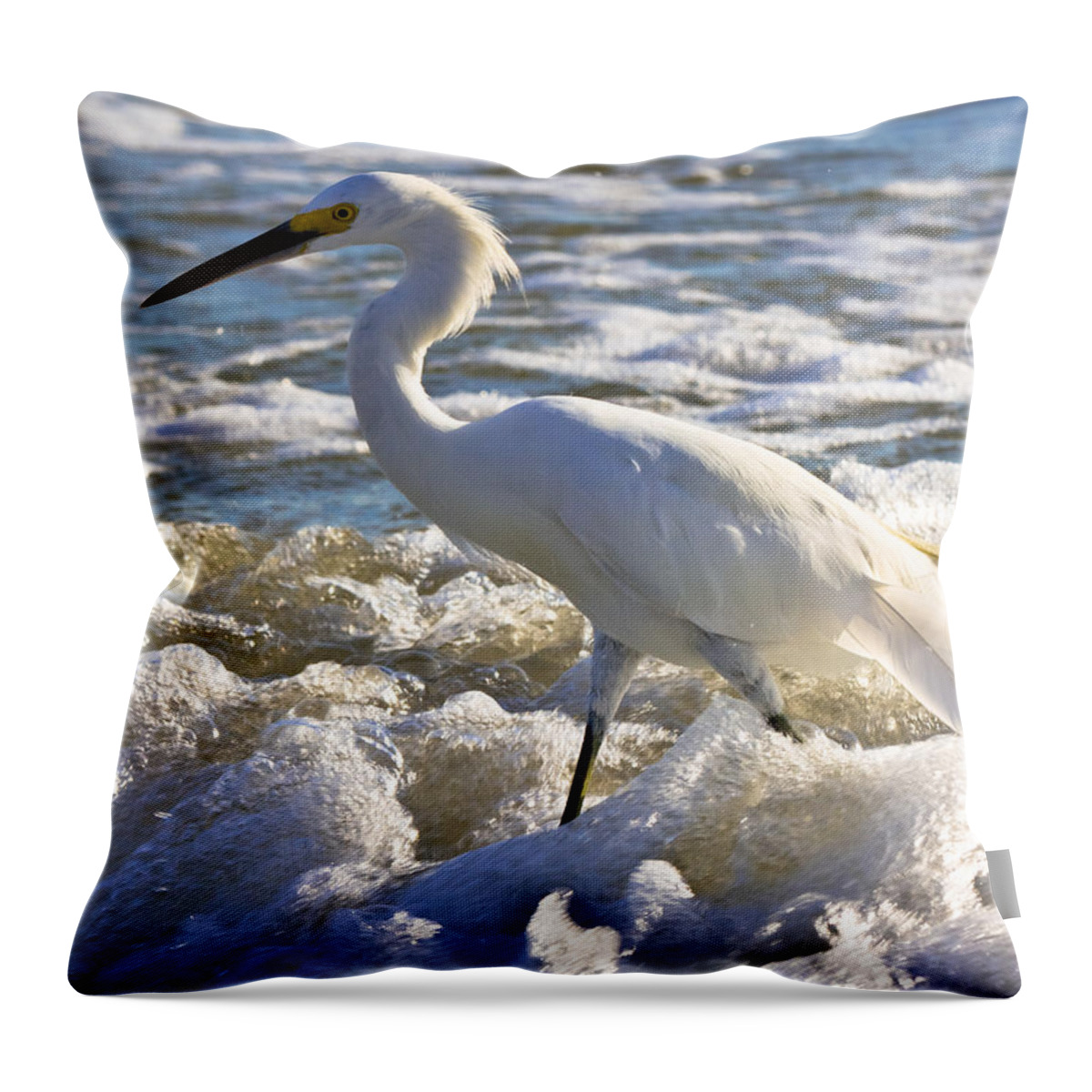 Beach Throw Pillow featuring the photograph Bubbles Around Snowy Egret by Ed Gleichman