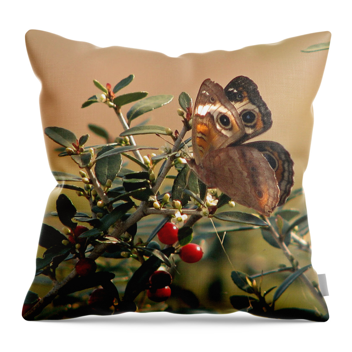 Nature Throw Pillow featuring the photograph Buckeye Beauty by Peggy Urban