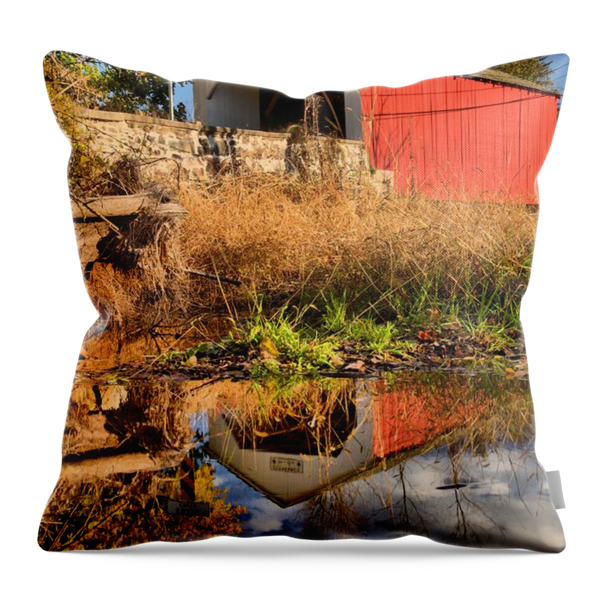 Erwinna Throw Pillow featuring the photograph Bucks County Swamp Creek Reflections by Adam Jewell