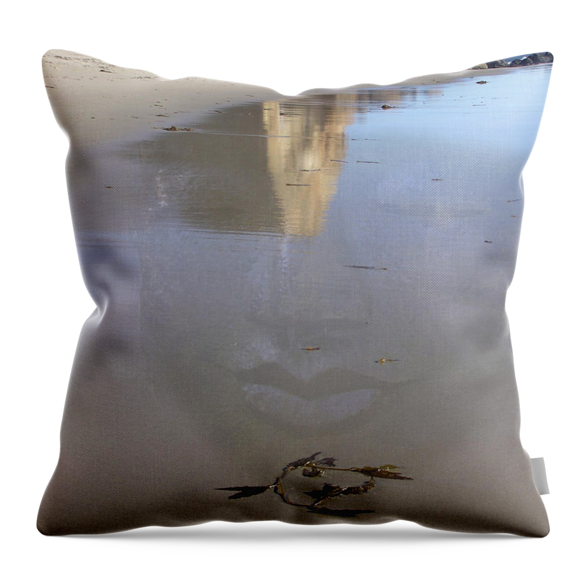 Buddha Throw Pillow featuring the photograph Buddha Reflection - Malibu by Valerie Freeman