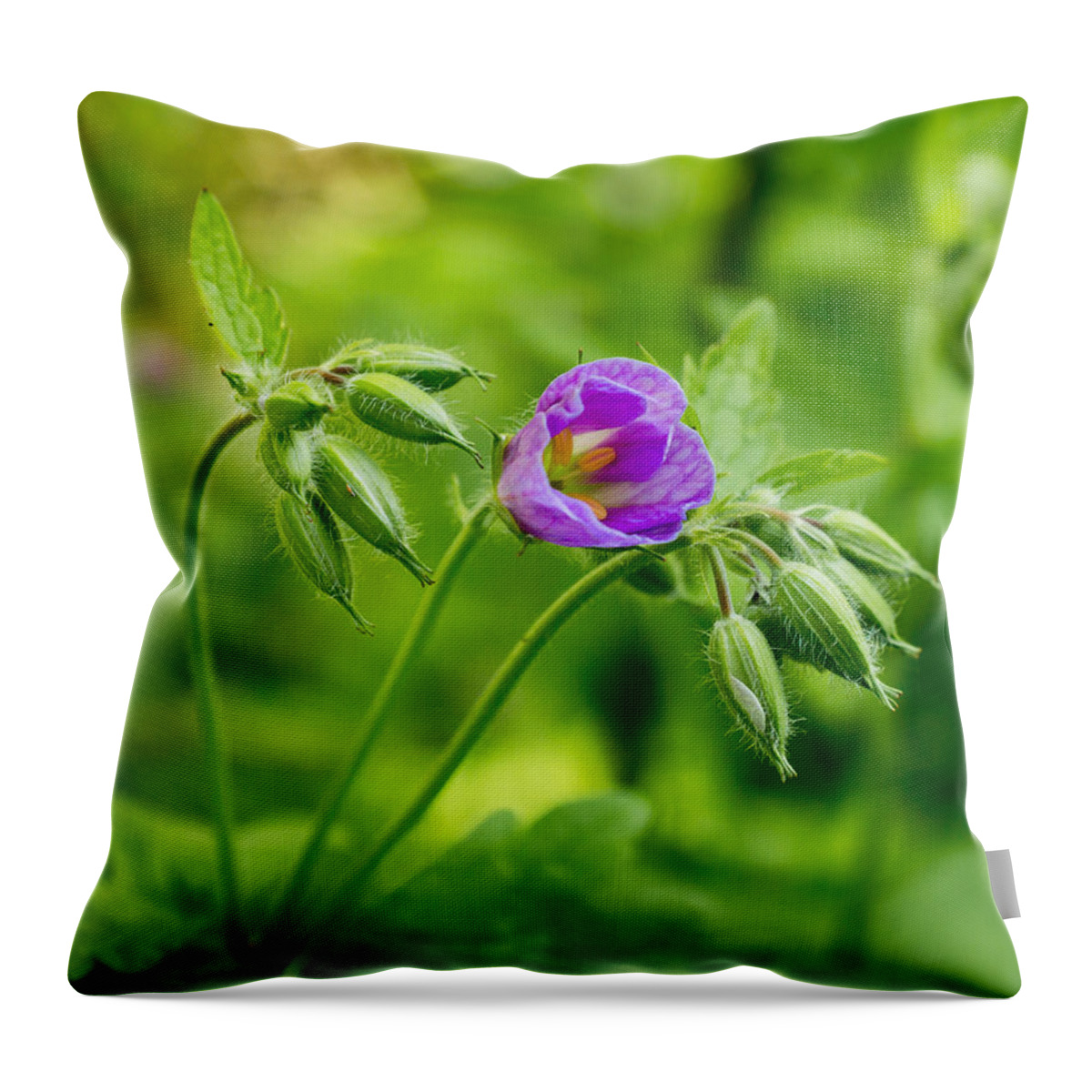 Wildflower Throw Pillow featuring the photograph Budding Artist by Bill Pevlor