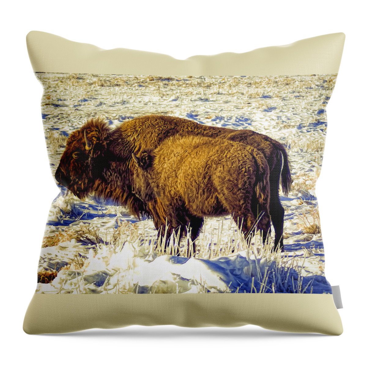 Buffalo Throw Pillow featuring the photograph Buffalo Painting by Alan Hutchins
