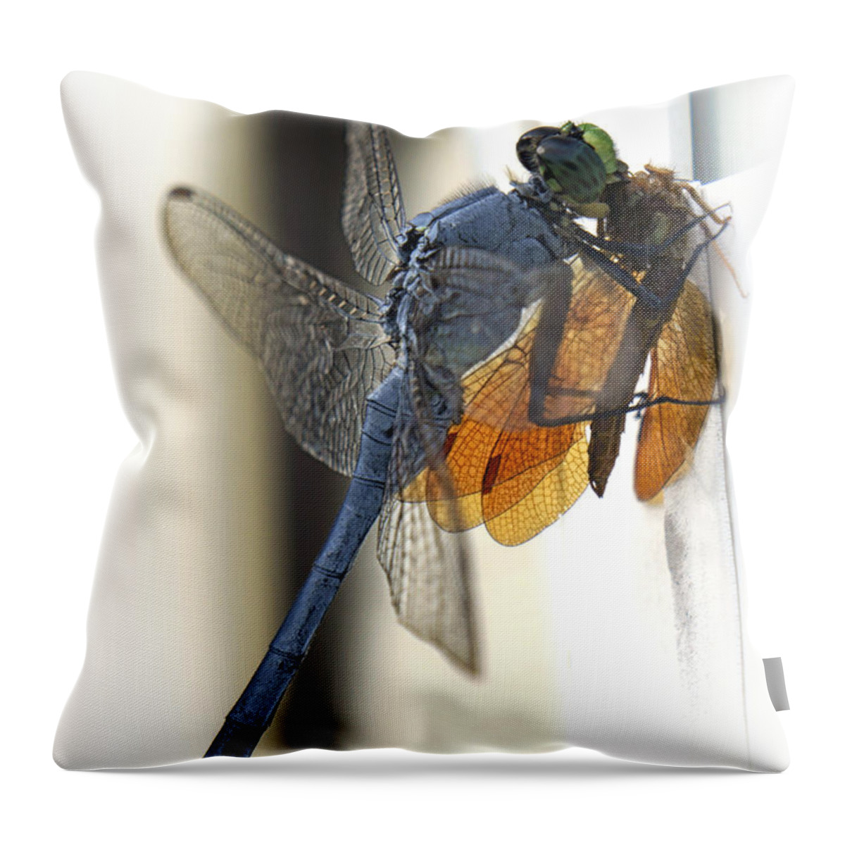 Dragonfly Throw Pillow featuring the photograph Bugzilla by Darlene Kwiatkowski